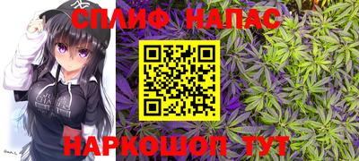 индика Будённовск