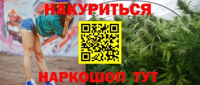 индика Будённовск