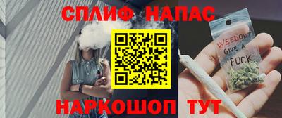 индика Будённовск