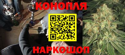 индика Будённовск