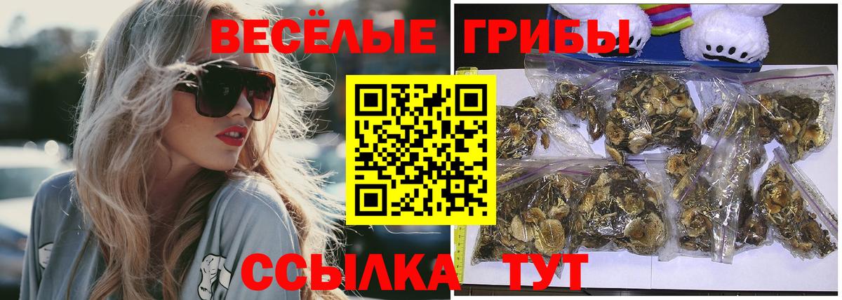 Батайск  Галлюциногенные грибы Magic Shrooms  Вход с VPN 